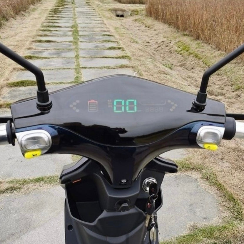 Scooter elettrico Sky II 1000W batteria al piombo