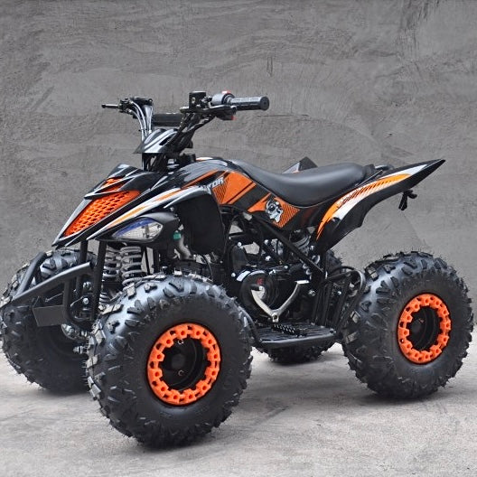 QUAD ATV RAPTOR 110cc AUTOMATICO CON RETROMARCIA - R 7”
