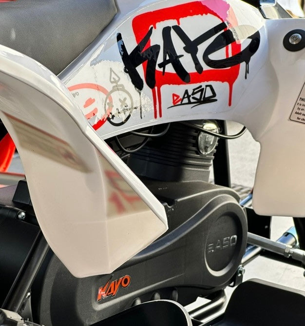 MINIQUAD ATV KAYO eA50 36V ELETTRICO