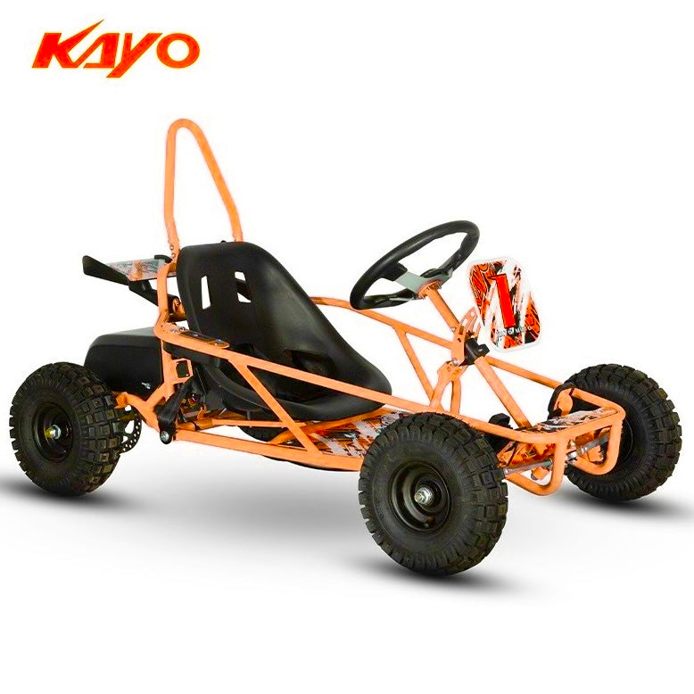 Buggy ES50 elettrico 800W 36V
