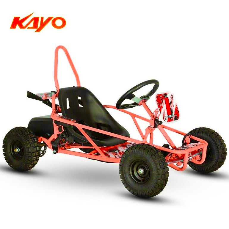 Buggy ES50 elettrico 800W 36V
