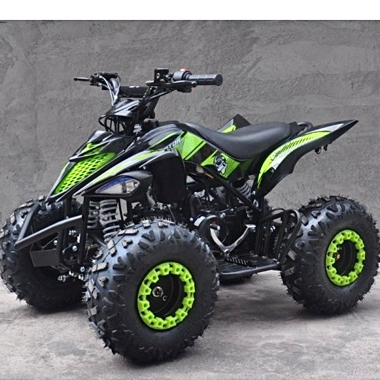 QUAD ATV RAPTOR 110cc AUTOMATICO CON RETROMARCIA - R 7”