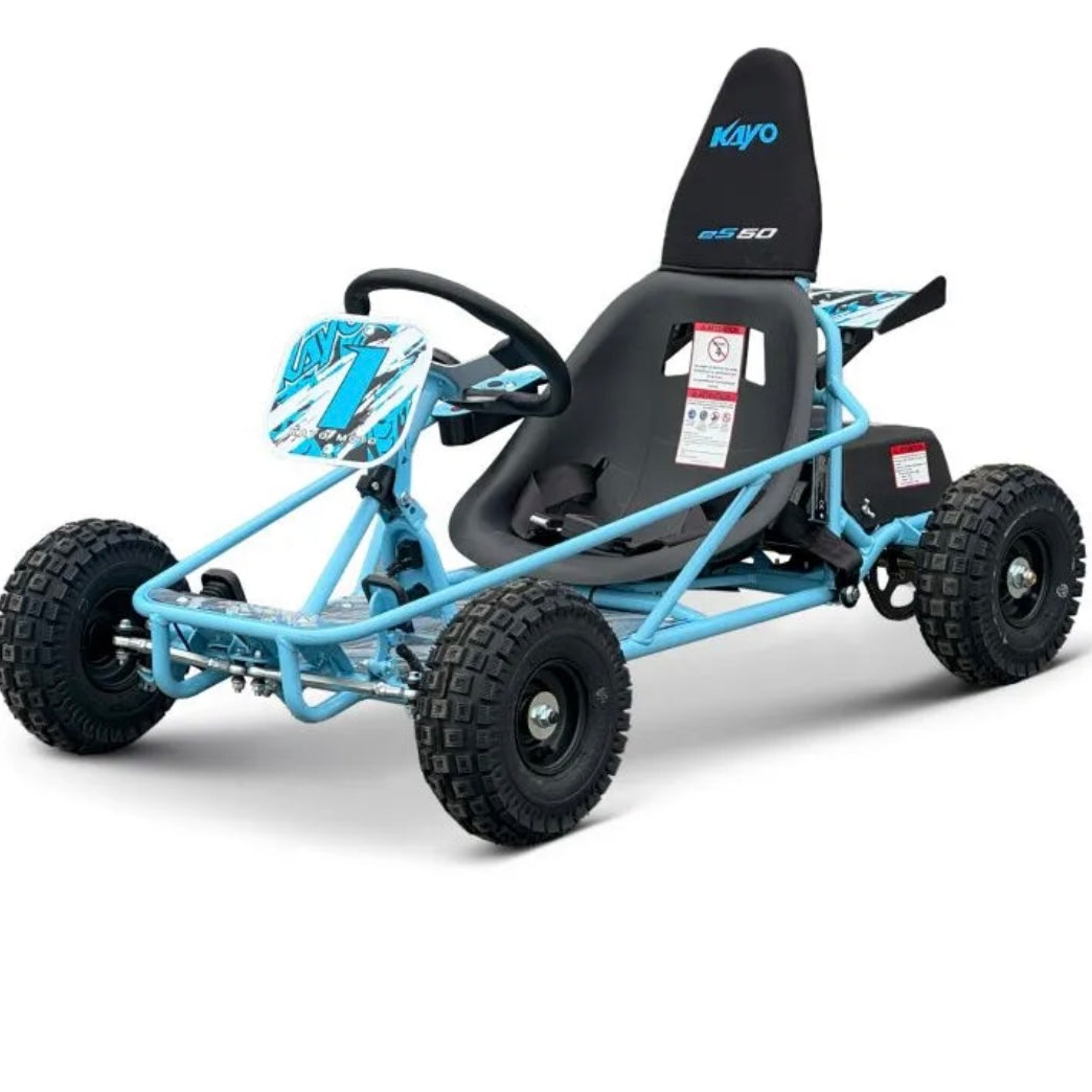 Buggy ES50 elettrico 800W 36V