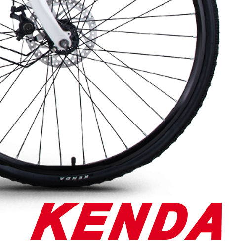 NCX IPANEMA NAVY 28'' 250W 36V