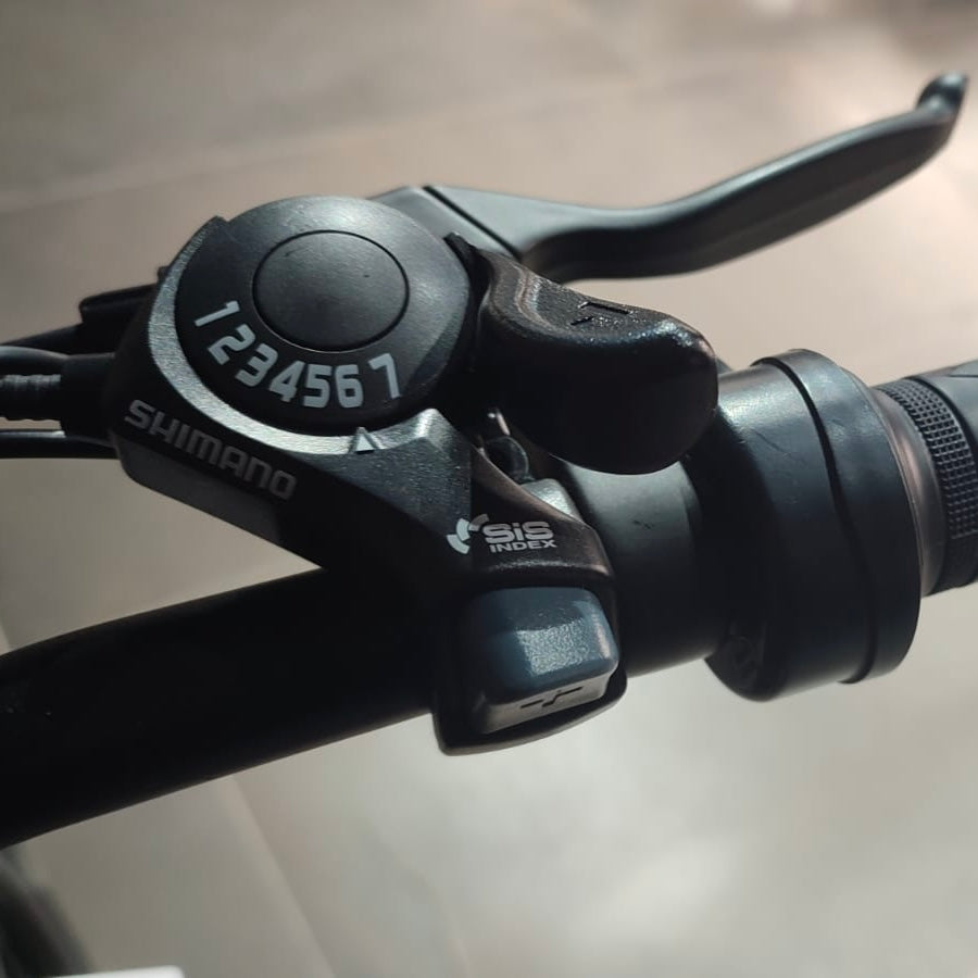 FLAT TRACK NUDE 500W 48V